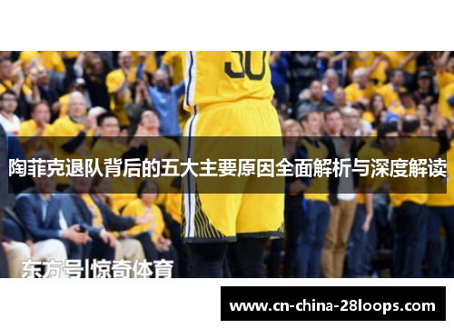 陶菲克退队背后的五大主要原因全面解析与深度解读
