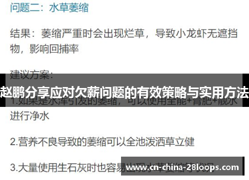 赵鹏分享应对欠薪问题的有效策略与实用方法